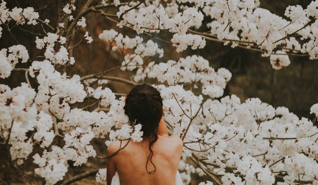 ⎯ Foto: Rodolfo Sanches Carvalho/Unsplash