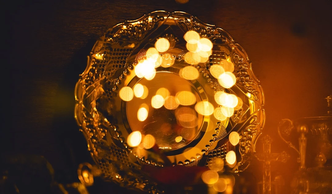 ⎯ Foto: Patrick/Unsplash