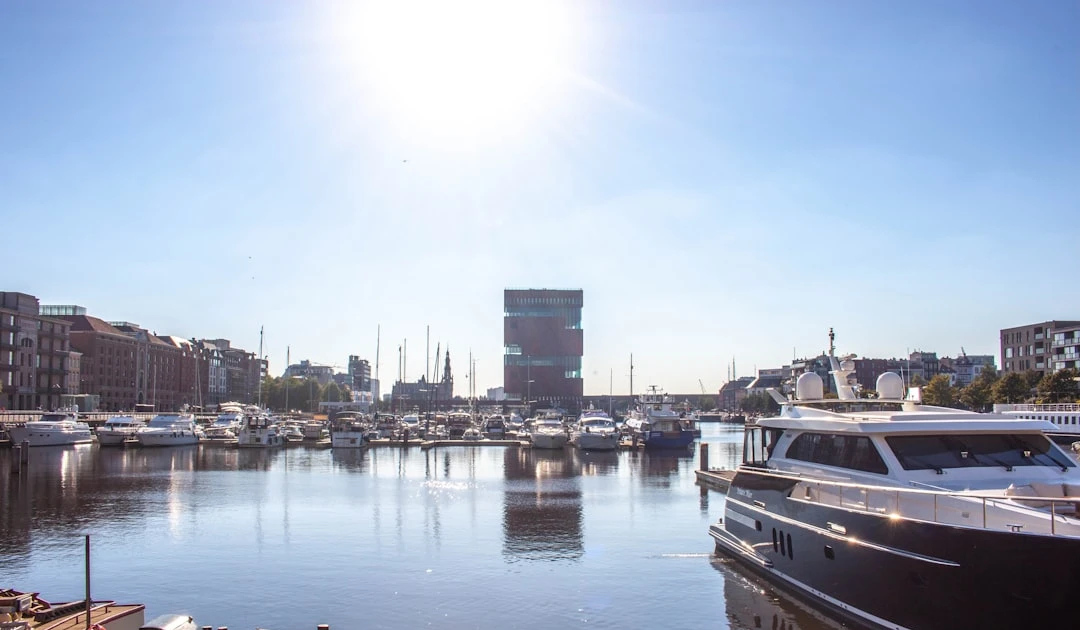 ⎯ Foto: Kamilla Isalieva/Unsplash