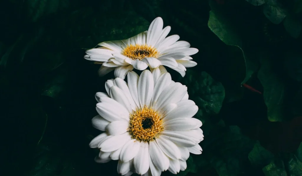 ⎯ Foto: Andi Rieger/Unsplash