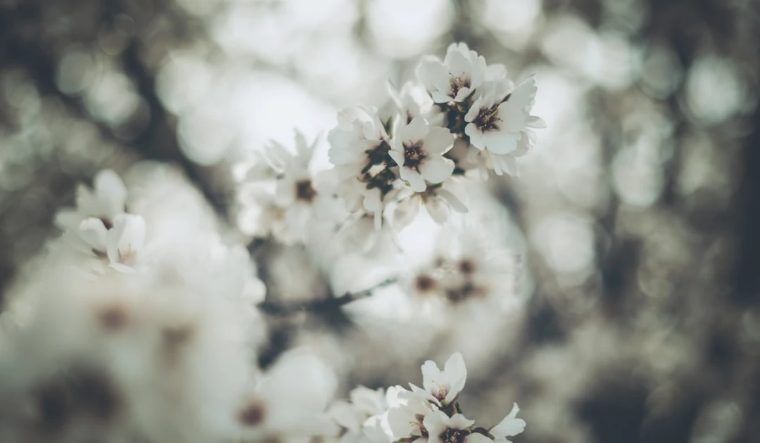 ⎯ Foto: Tim Mossholder/Unsplash