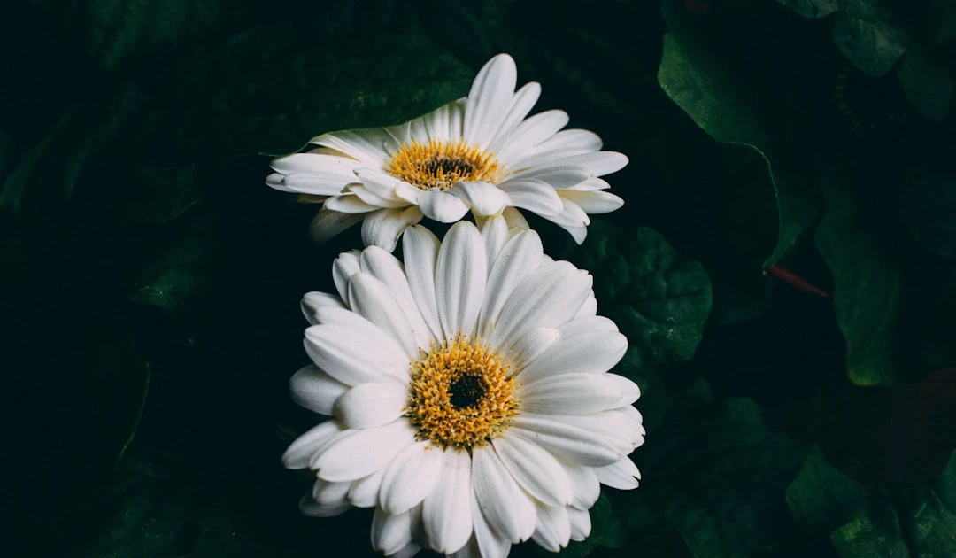 ⎯ Foto: Andi Rieger/Unsplash