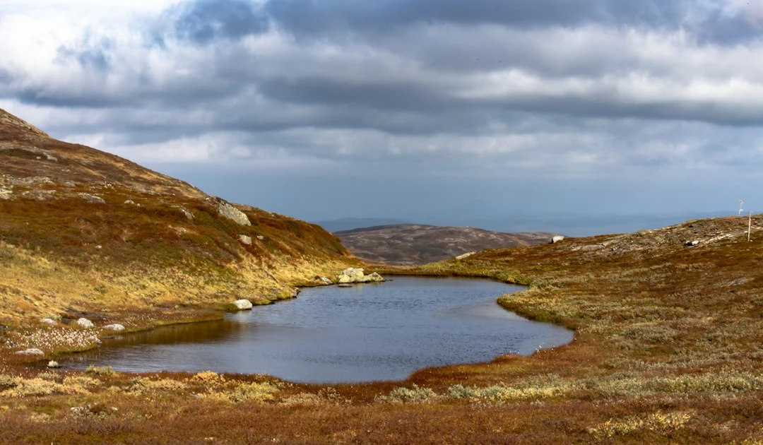 ⎯ Foto: Håkon Grimstad/Unsplash