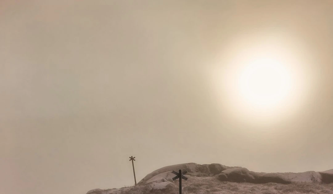 ⎯ Foto: Jan Brennenstuhl/Unsplash