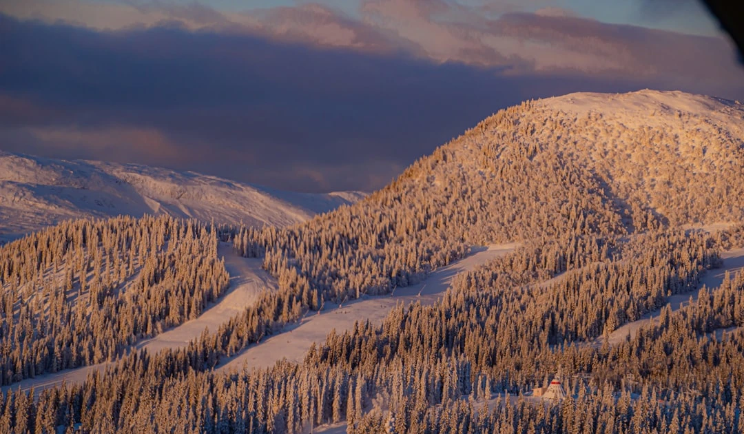 ⎯ Foto: Håkon Grimstad/Unsplash