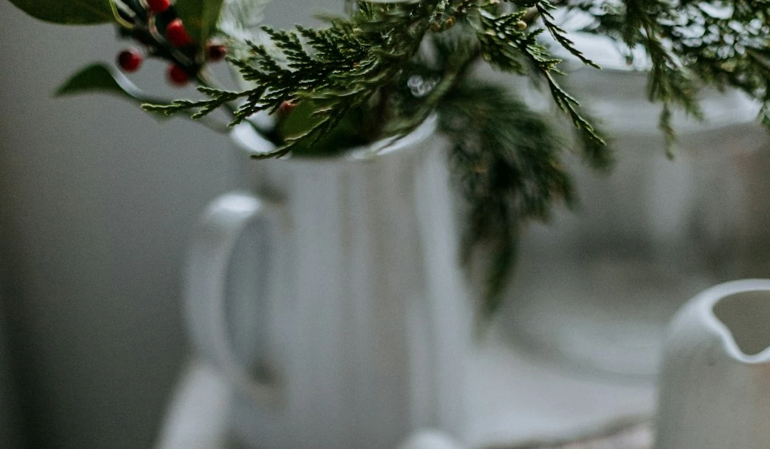 ⎯ Foto: Priscilla Du Preez 🇨🇦/Unsplash