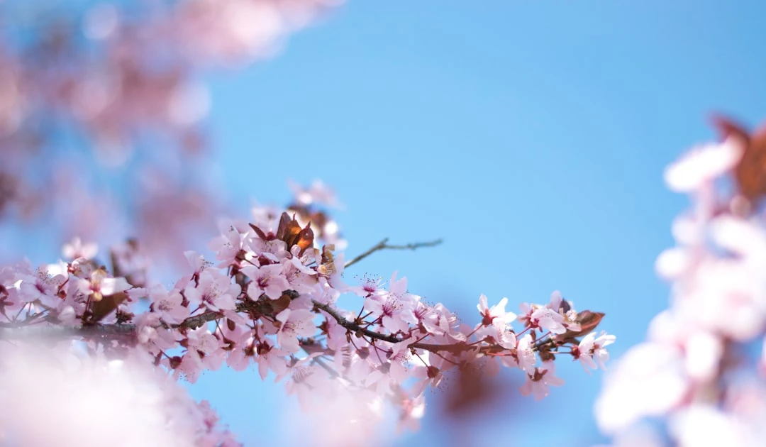 ⎯ Foto: Jake Weirick/Unsplash