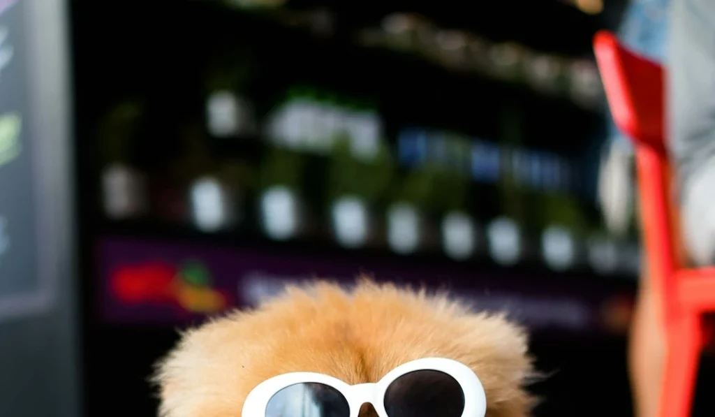 ⎯ Foto: alan King/Unsplash