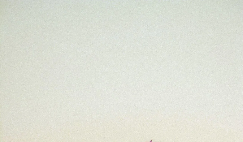 ⎯ Foto: Christina Deravedisian/Unsplash