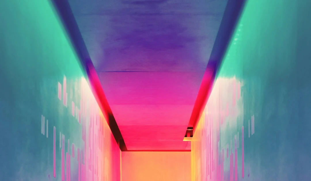 ⎯ Foto: Efe Kurnaz/Unsplash