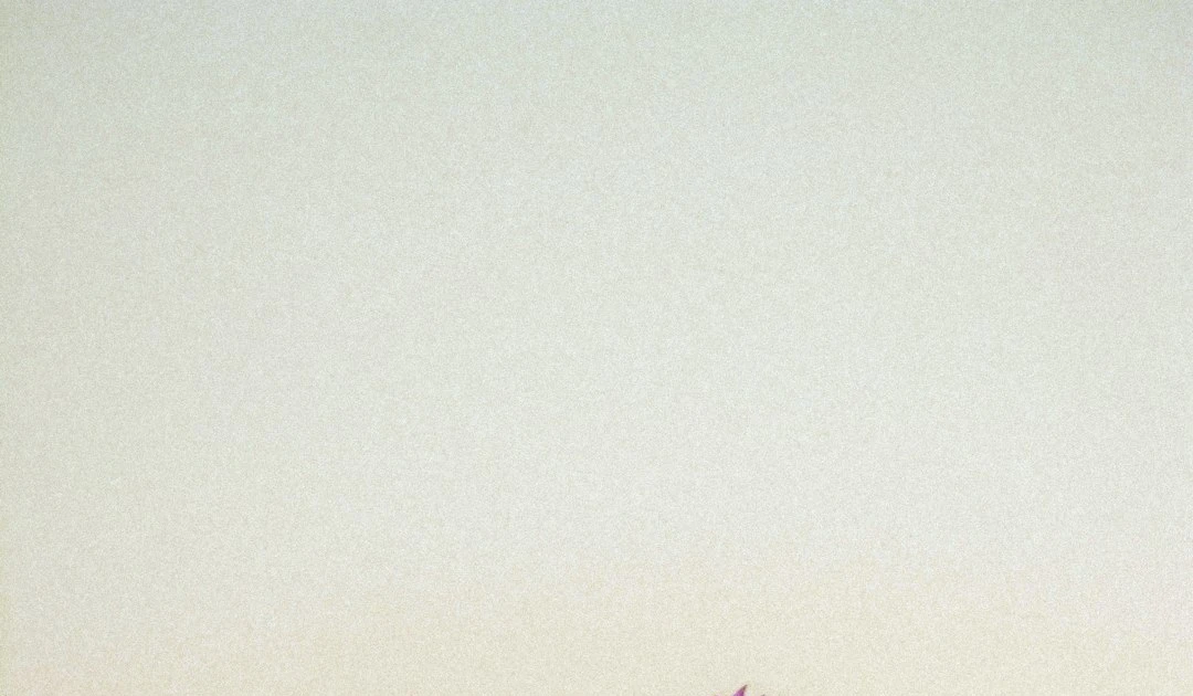 ⎯ Foto: Christina Deravedisian/Unsplash