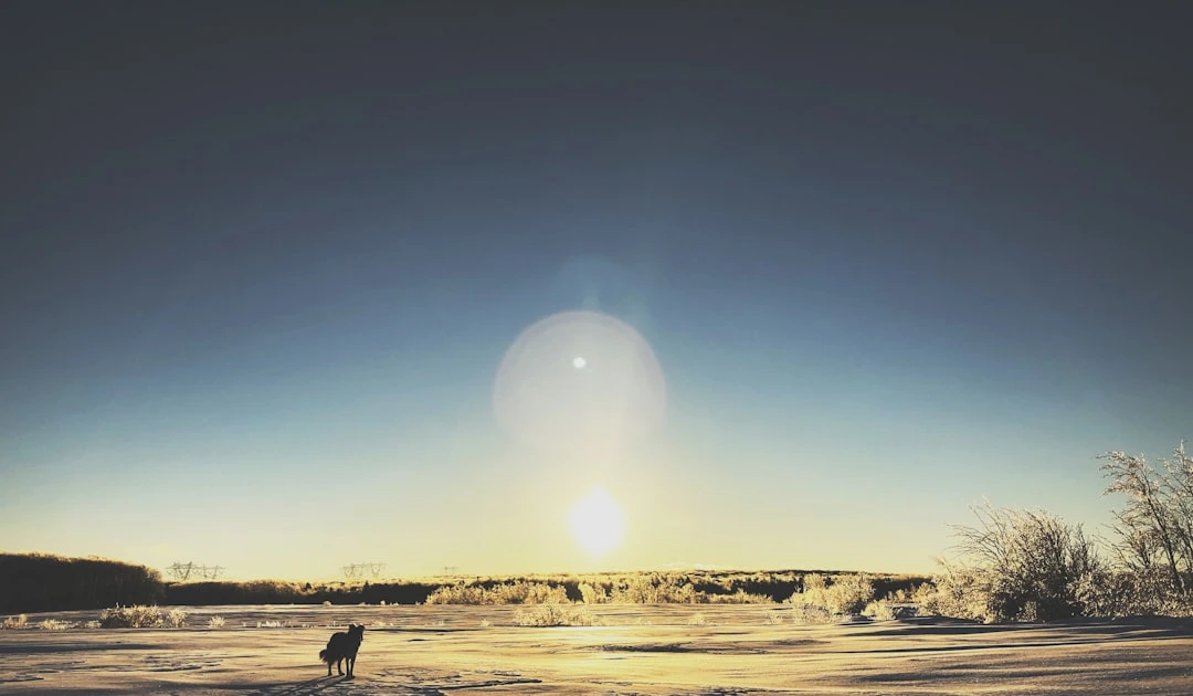 ⎯ Foto: Sigmund/Unsplash